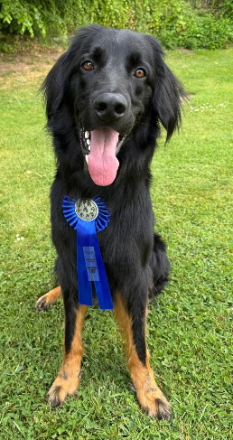 Idefix_6b234328-f6a4-47e3-982a-e294a41a032a