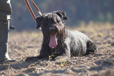 PSKDM_IGPFH2025_Norbert